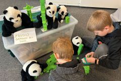 WhatsApp-Image-2025-05-08-at-12.38.54-2 WhatsApp-Image-2025-05-08-at-12.38.54-2