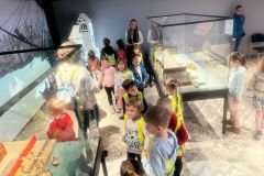 WhatsApp-Image-2025-03-19-at-15.55.05